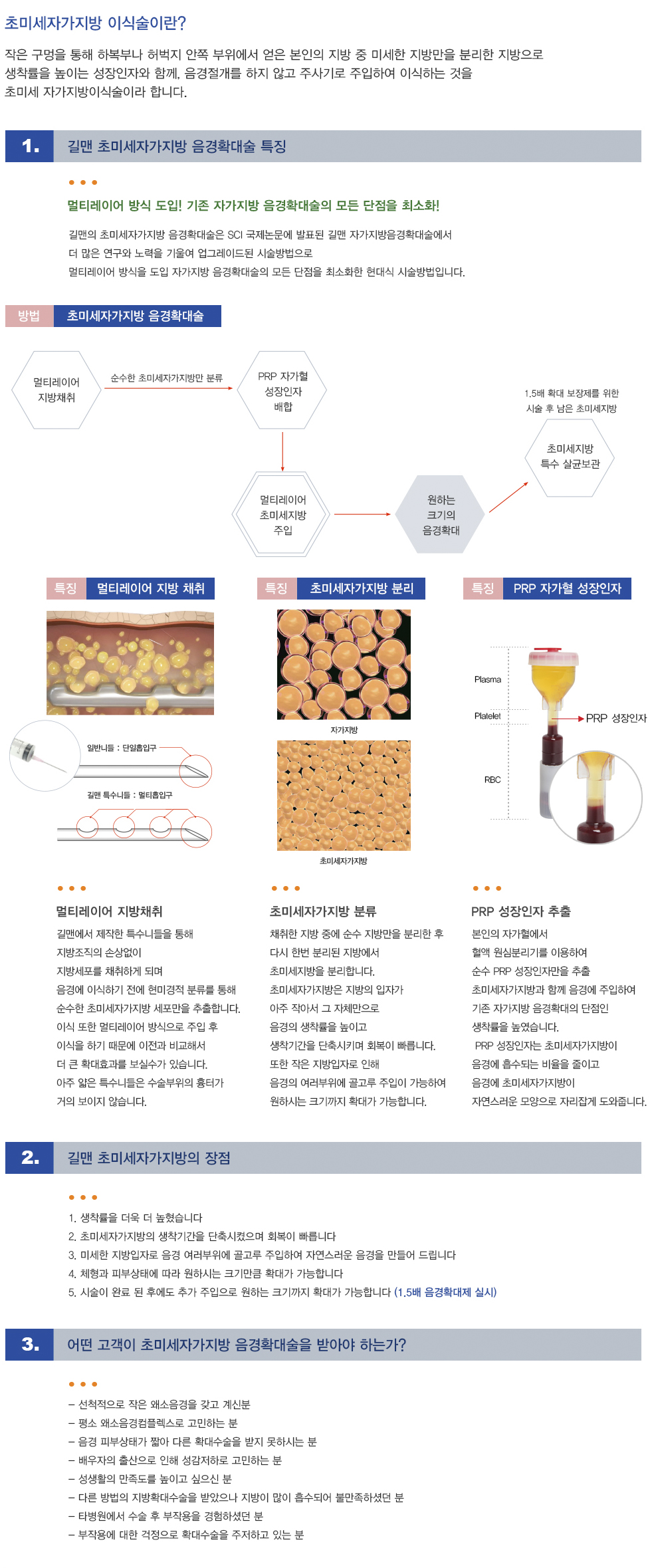 초미세자가지방확대